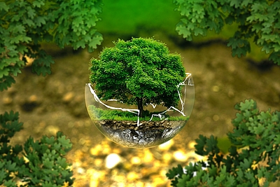 Umweltschutz © Pixabay.com
