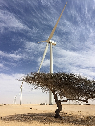 Windparks für Nord- und Westafrika
