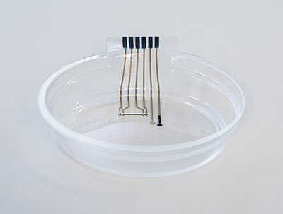 Intelligente Sensorik wird auf Folien gedruckt und durch Tiefziehen zur smarten Petrischale